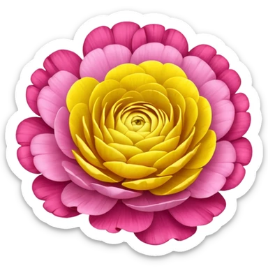 ranunculus sticker