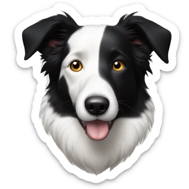 An elderly black and white border collie with white around both eyes and a black stripe down the middle of her face. sticker