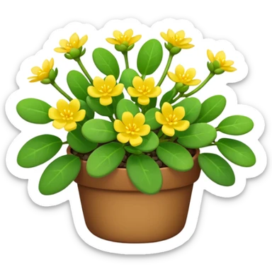 purslane bush plant sticker