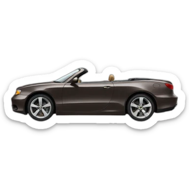 living-the-dream-convertible sticker