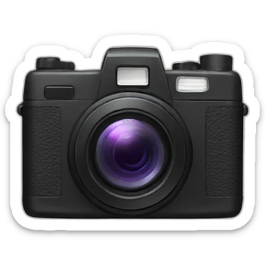 disposable camera sticker