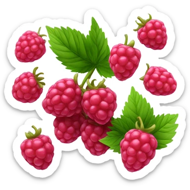 Raspberry sticker