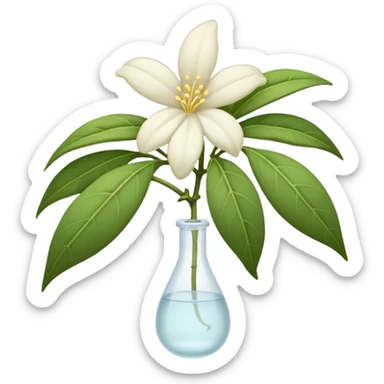 wilted jasmine like realistic detial but used for mobile emoji sticker