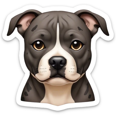 Cinematic Noble Black/Brindle Staffordshire Bull Terrier Portrait Emoji, Poised and regal, with a compact, muscular build and a sleek, well-groomed Fur featuring a striking mix of black and brindle patterns, deep-set soulful dark eyes, Simplified yet sharp and sophisticated features, highly detailed, glowing with a soft, dignified glow, high shine, intelligent and loyal, stylized with an air of strength, focused and attentive, soft glowing outline, capturing the essence of a watchful and confident guardian, so majestic it feels as though it could stride out of the screen with effortless authority! sticker