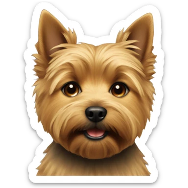 norwich terrier  sticker