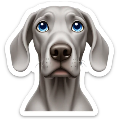 Weimaraner with blue eyes sticker