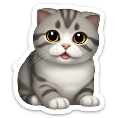 Scottish Fold Cat sticker