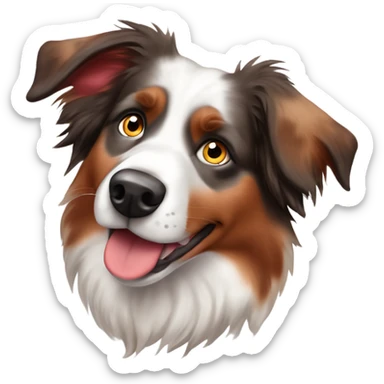 Red Merle Australian shepherd with a more red face and one blue eye sticker