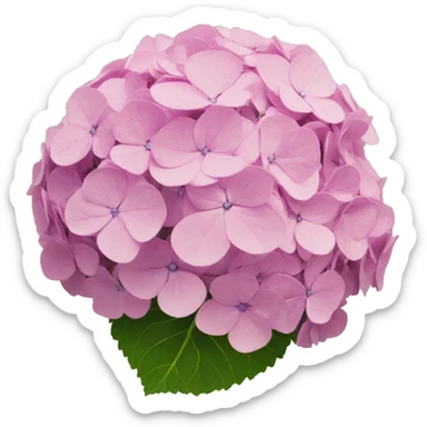 hydrangea sticker