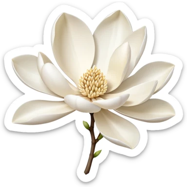 Magnolia sticker
