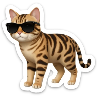 Cat wearing sunglasses sticker