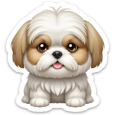 perro blanco de raza chitzu sticker