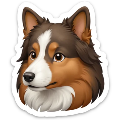 tricolor shetland sheepdog head, color black, white and brown, side view of face make it majestetic brown sticker