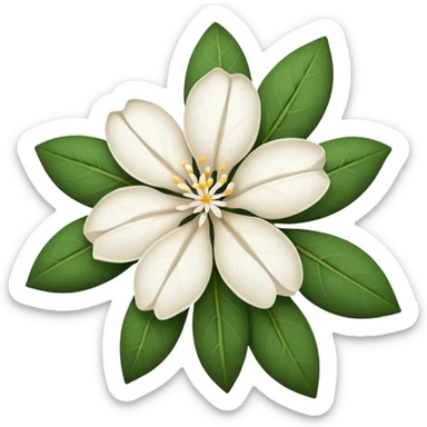 dry indian jasmine flower without leaf in emoji format  sticker