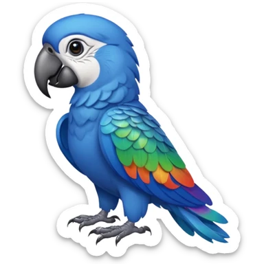 blue parrot from Brazil, rio sticker