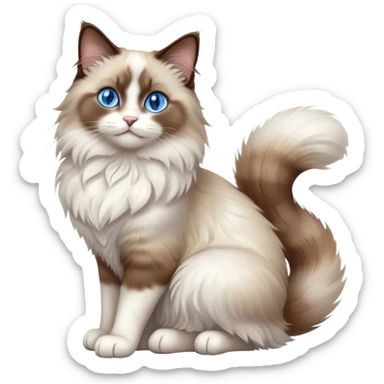 cinematic-[brown and white ragdoll cat]-realistic-full-body-sitting-emoji,-tail-curled-playfully-around-its-paws,-head-tilted-dramatically,-fluffy-[brown and white]-fur,-simplified-yet-realistic-focused-features,-highly-detailed,-glowing-with-an-almost-sarcastic-glow, with blue eyes sticker