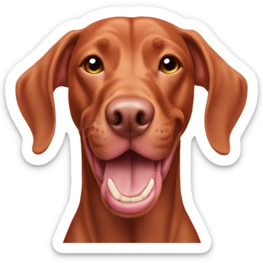 Pink nosed Vizsla showing teeth  sticker