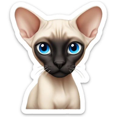 Siamese Sphynx  cat with blue eyes, full body, black nose , big black ears and tail sticker