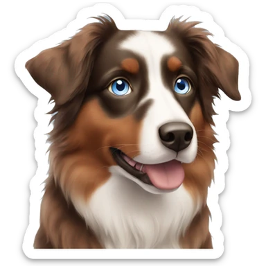 Red Australian shepherd with blue eye sticker