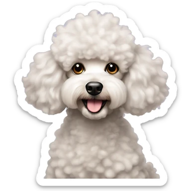 Fluffy mini poodle gazing at viewer sticker