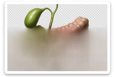 CISTIFELLEA E INTESTINO SONO COLLEGATI NEL DOLORE, SENZA SCRITTE E L'INTESTINO FALLO PERFETTO E REALISTICO, NON DISEGNATO iperrealistico 4k sticker