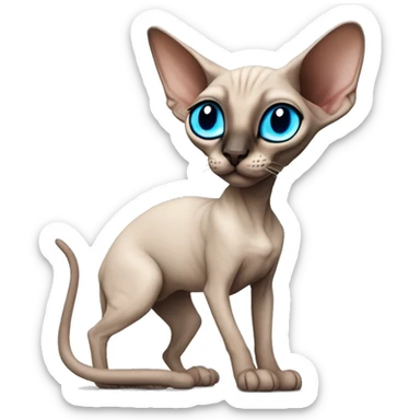 Siamese Sphynx Peterbald  cat with blue eyes, full thin body stand, black nose ears and tail sticker