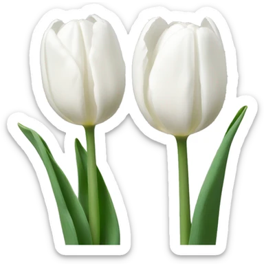 white tulips sticker