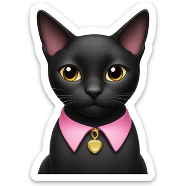 Black cat with white lower face wearing a pink collar sticker