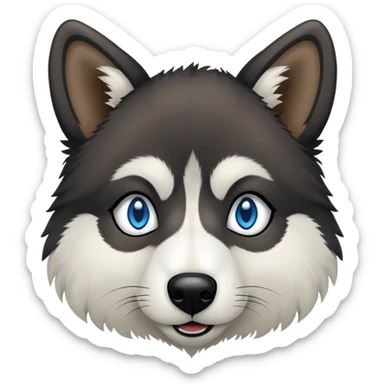 Wooly agouti husky with blue eyes and some black fur sticker