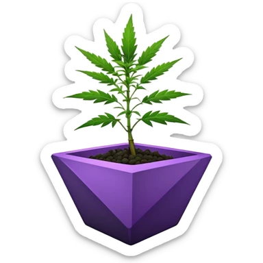  small short black bonsai pot plant purple marijuana with triangular angular faceted asymmetrical originally shaped body  sticker