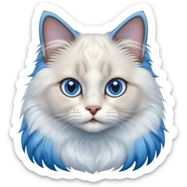 ragdoll, blue eyes, blue bi color sticker