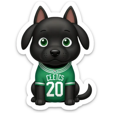 Black dog wearing a Boston Celtics jersey sticker