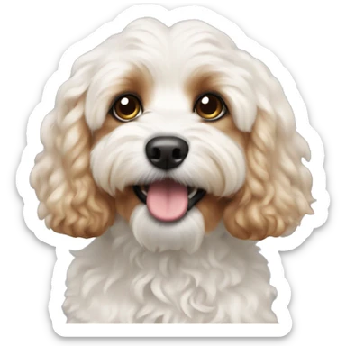 Cavapoochon sticker