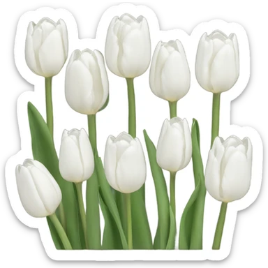 Ramo de tulipanes blancos sticker