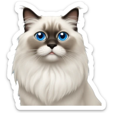 himalayan ragdoll cat with blue eyes sticker