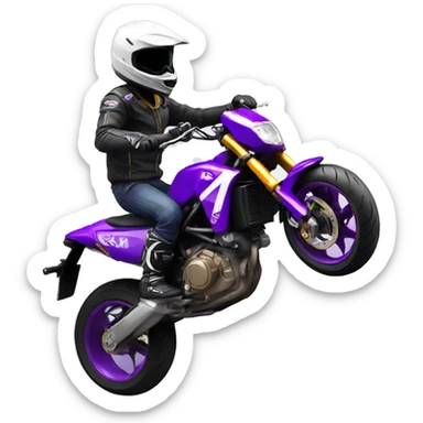 Boy riding purple supermoto sticker