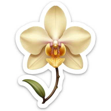 orchid flower, light beige color, no leaves, one piece only sticker