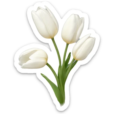 white tulips sticker