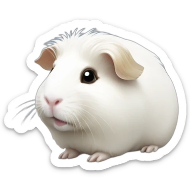 Totally White Guinea pig sticker