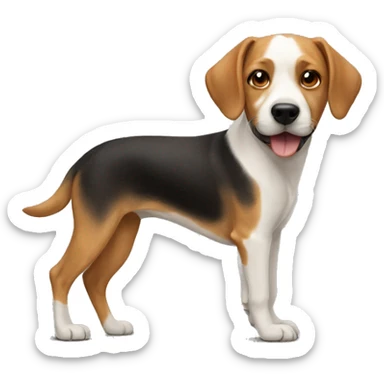 Dog with a human sticker