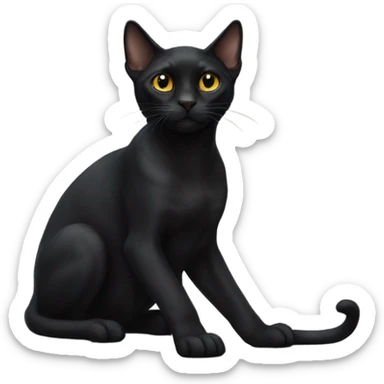 black cat of the sphinx breed sticker
