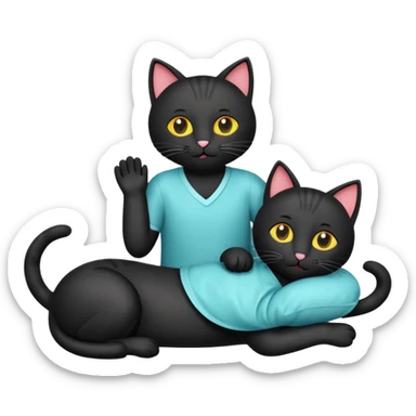 get well soon with black cats and Stu sign sticker