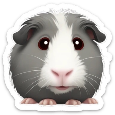 Fuzzy grey Guinea pig with white patches and with dark red eyes  sticker
