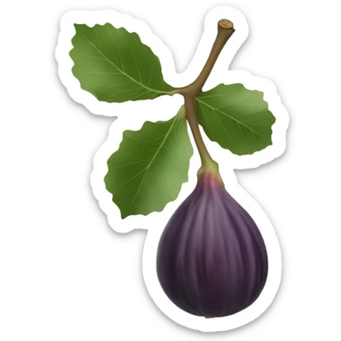fig the fruit sticker