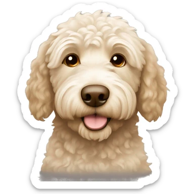 Labradoodle beige and white sticker