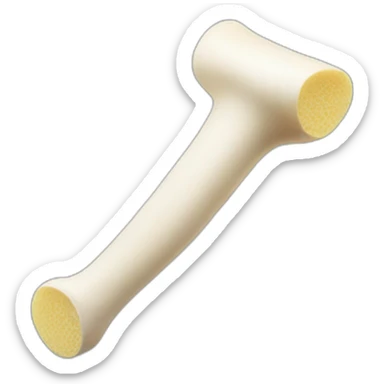 Long bone and a washing sponge sticker