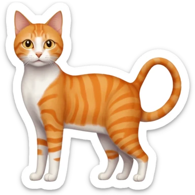 full body orange domestic shorthair slim cat with yellow/orange eyes and a white triangle pattern on his face playing sticker