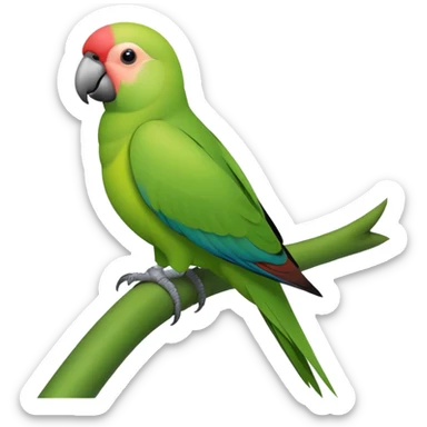 Indian ringneck parrot  sticker