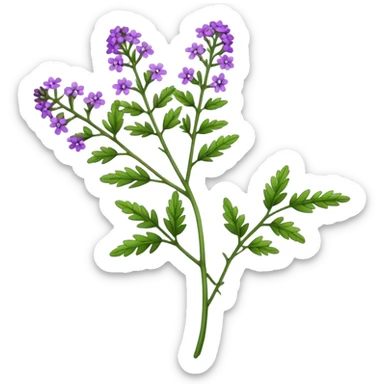 verbena branch sticker