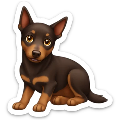 Brown Australian Kelpie sticker